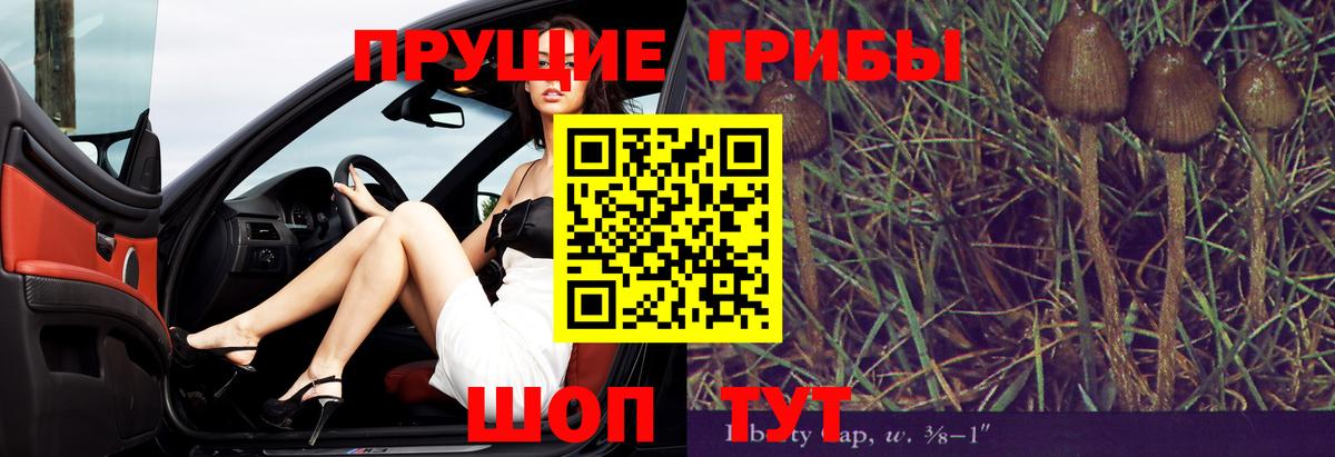 Арзамас  Галлюциногенные грибы Psilocybe  Псилоцибиновые грибы Cubensis  Вход с VPN 